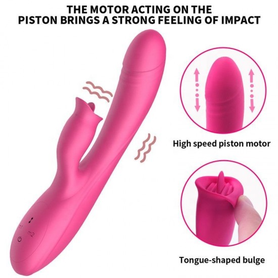 VIBRÁTOR  PUSH IT RABBIT ROSE RED